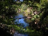 a river afternoon