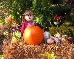 florida autumn