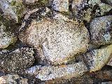 Stone Wall
