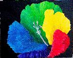 color wheel hibiscus