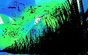 Receding Jungle