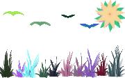 birds