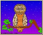 owl